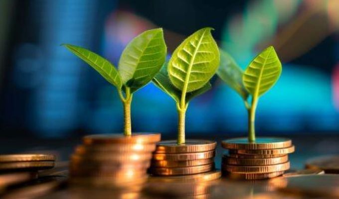 rośliny na monetach